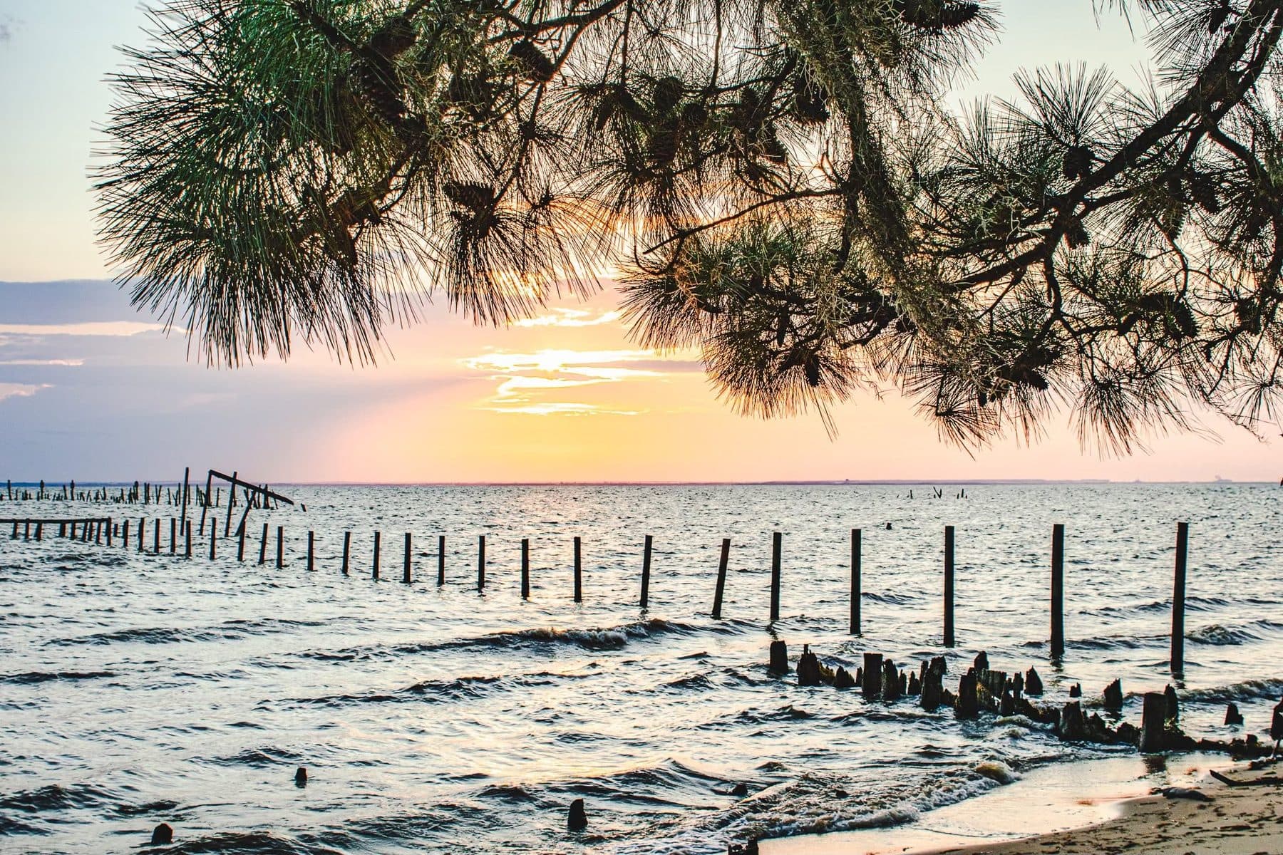Photograph by Larry Thomas
