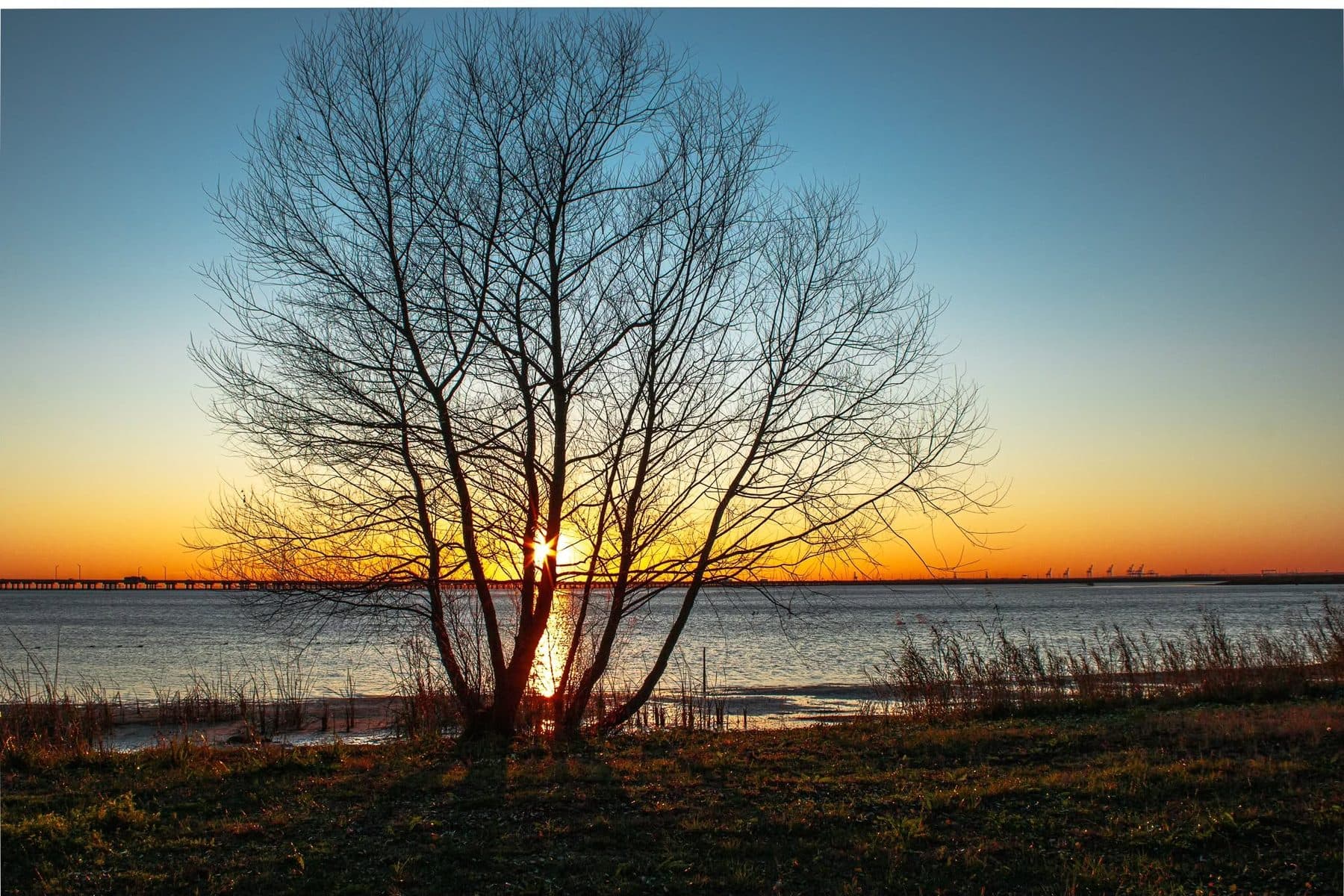 Photograph by Larry Thomas
