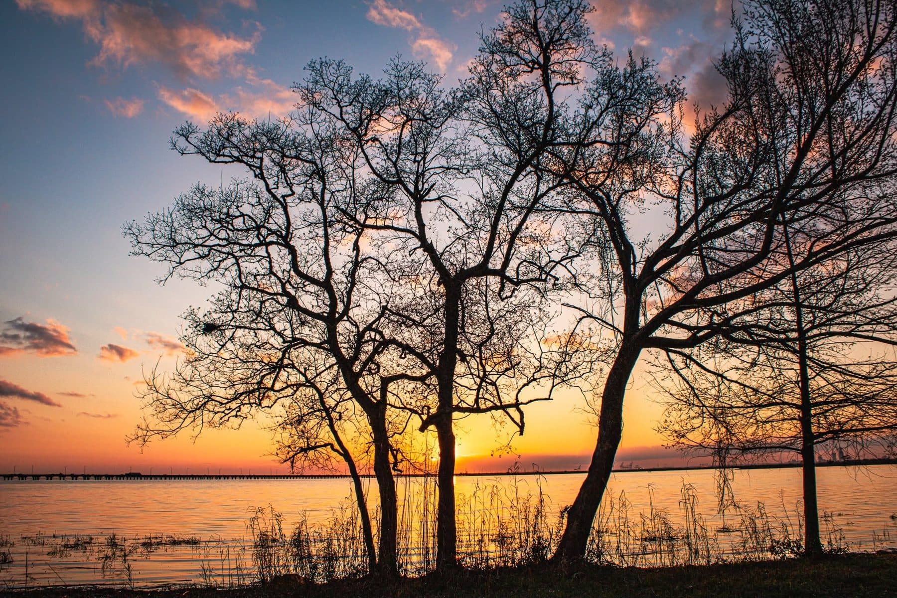 Photograph by Larry Thomas