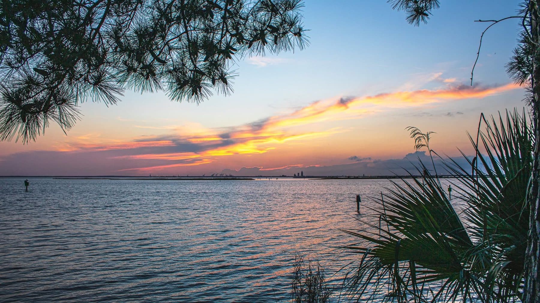 Photograph by Larry Thomas