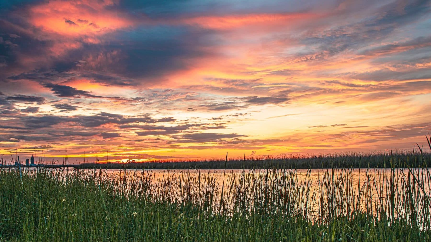 Photograph by Larry Thomas
