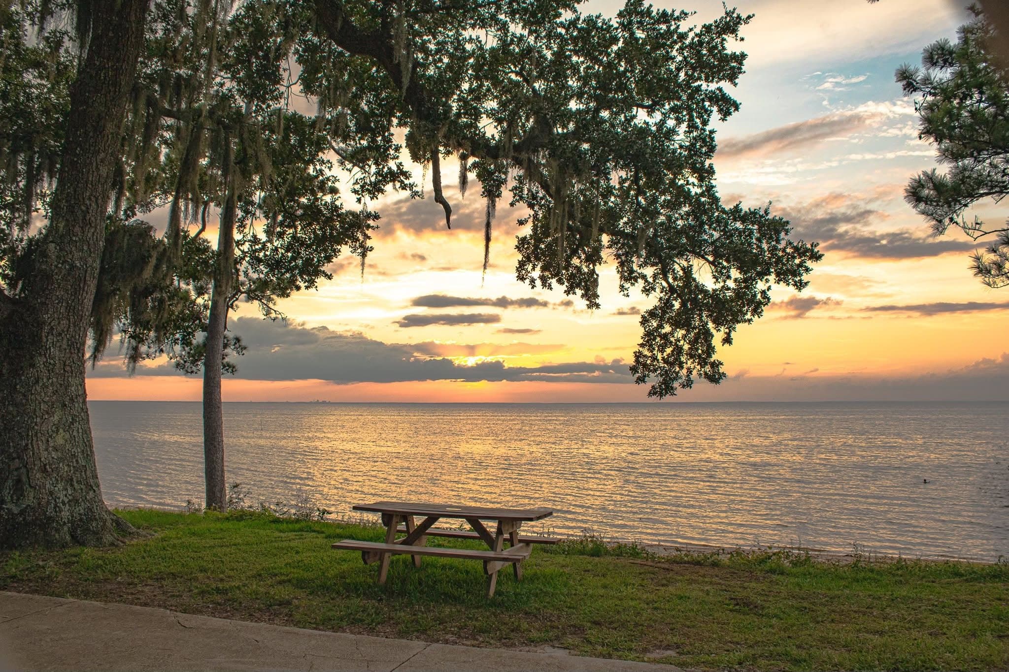 Sunset over Mobile Bay beneath a live oak, Alabama