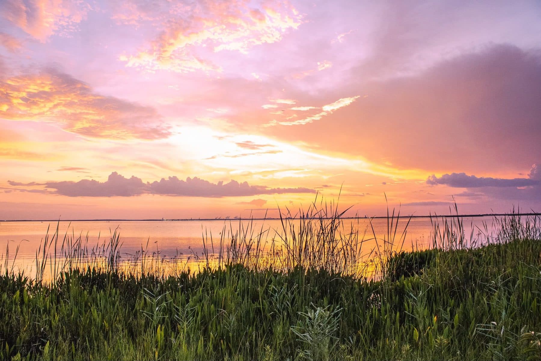 Photograph by Larry Thomas