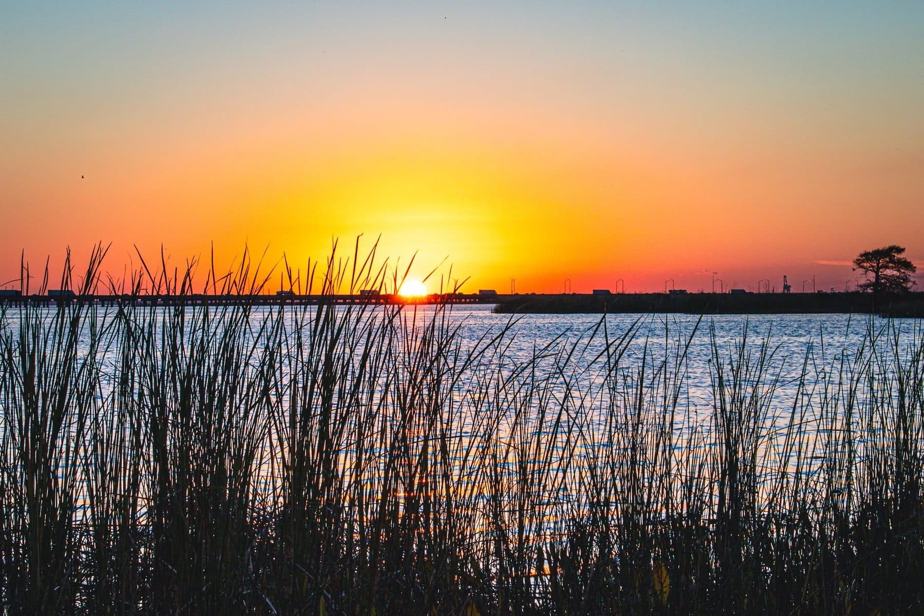 Photograph by Larry Thomas